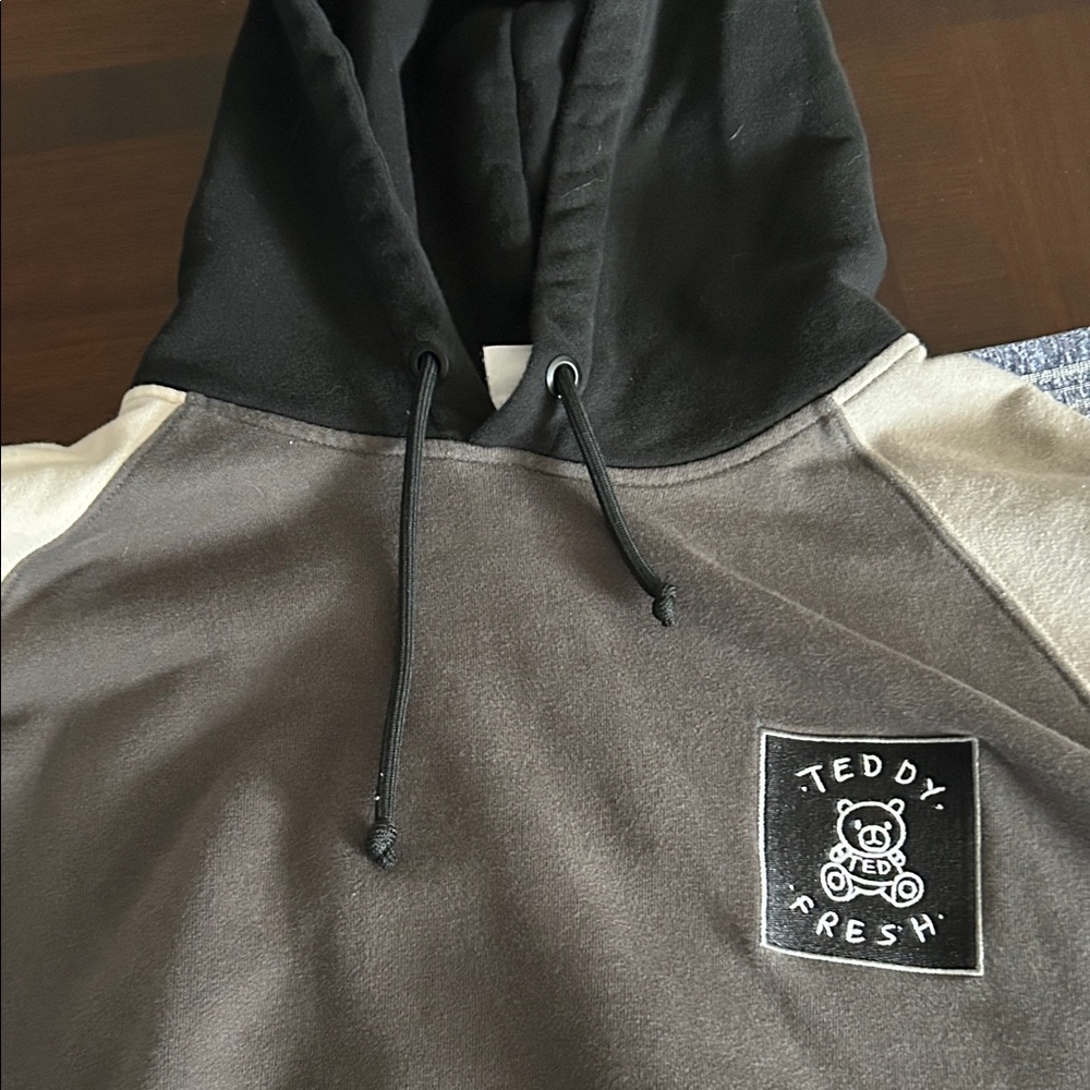 Teddy Fresh Monochrome Hoodie with Logo Patch